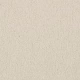 Kt KILOtela Stoff aus gefärbtem Leinen, Dekoration, Wandteppich, Kissen, Vorhänge, Tagesdecken, Taschen, Tischdecken, Leinen 300 cm lang x 280 cm breit | Beige 198 m, 3 m