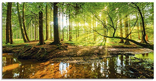 Artland Qualitätsbilder I Glasbilder Wald mit Bach Sonnenaufgang Deko Glas Bilder 100 x 50 cm Landschaften Foto Grün D8SD