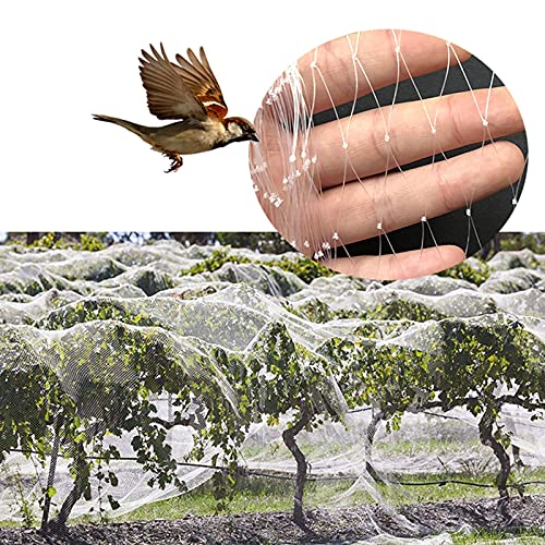 Vogelschutznetz, Teichnetz Nylon Vogelnetz Baumkulturen Obstbaumnetz für Garten Obst Pflanzen Gemüse Blumenschutz, Weiß (Mesh : 2.5cm, Size : 5m x 8m)