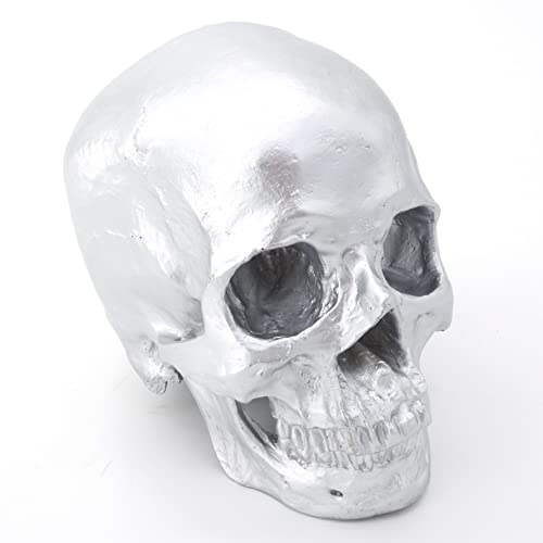 Cranstein Scientific Menschlicher Schädel, lebensgroß - Totenkopf Deko (Farbe Hell-Silber)