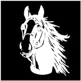 Finest Folia Aufkleber Pferd Pferdekopf Sticker für Auto Anhänger LKW Pferde Autoaufkleber Dekor Pferdemotiv Tiermotiv (Weiß Glanz K066, 70x50 cm)