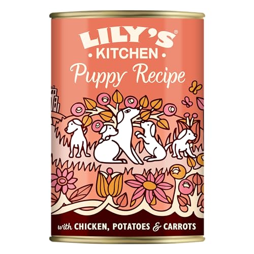 Lily's Kitchen - Nass Hundefutter für Welpenfutter 6er Pack (6 x 400g) - Hühnerfleisch, Kartoffeln und Karotten
