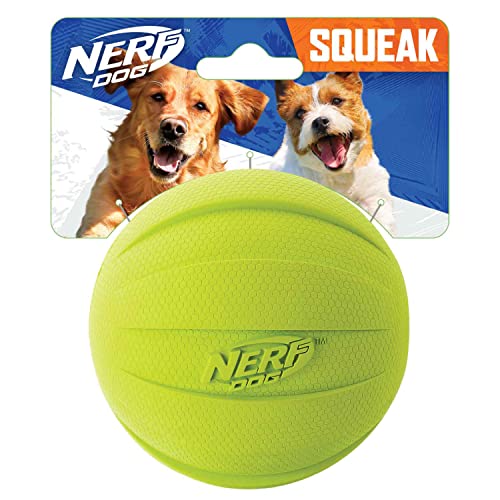 Nerf Dog Gummiball Hundespielzeug mit Quietscher, leicht, langlebig und wasserabweisend, 10,2 cm Durchmesser für mittelgroße Rassen, Einzeleinheit, grün