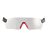 Protos integrale Schutzbrille für Helmsystem, Farbe:klar