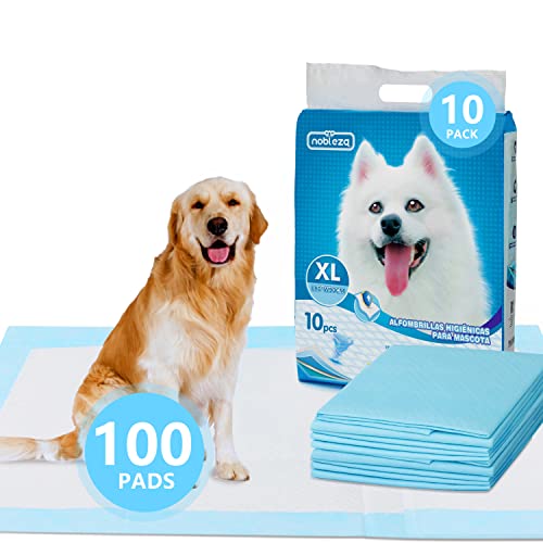 Nobleza -Ultra saugfähige Hunde Trainingsunterlagen Welpenunterlage Welpen Toilettenmatte, 90 * 80cm, Packung mit 10 Stück(10)