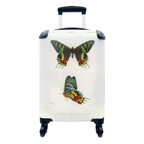 Koffer - 35x55 cm - Schmetterling - Vintage - Insekten
