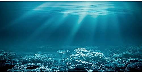 AWERT 61 x 30,5 cm Unterwasser-Hintergrund für Aquarien, Vinyl, Motiv Unterwasserwelt