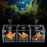 Fabater Saugdesign ungiftige Fischzuchtbox, hängende umweltfreundliche Aquarium-Brutboxen, für Babyfische Baby-Clownfisch Guppy für Babygarnelen(30CM*10CM*10CM)