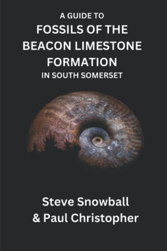 A Guide to Fossils of the Beacon Limestone Formation in South Somerset