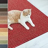 Floordirekt Sisal Fußmatte Teppich Vorleger Kratzteppich Katzenmöbel Kratzmatte Sisalmatte, widerstandsfähig & in vielen Farben und Größen erhältlich (100 x 100 cm, Rot)