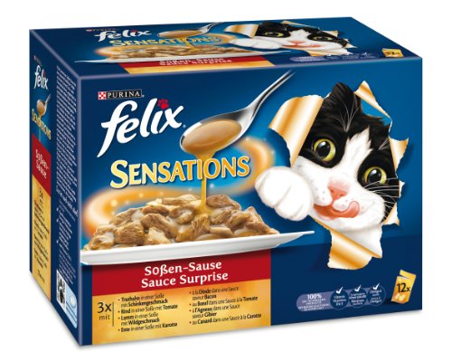 Felix Sensations Soßen-Sause Fleisch 12x100g Katzenfutter von Purina, 2er Pack (2 x 1.2 kg)