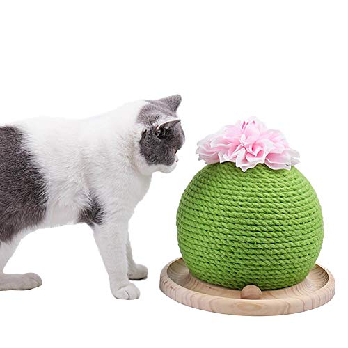 Neckip Katze Ball, Katzenbälle, Katzen Kratzbrett, Spielzeug Bälle für Katzen, Kaktus Natürlich Sisal Kratzbaum, Katze Interaktiv Spielzeug Katze