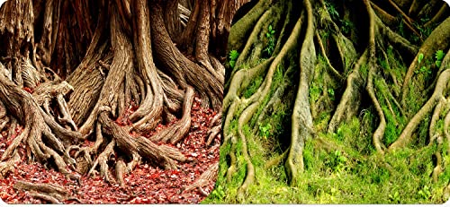 Reptiles-Planet Poster Amazonian Tree Roots 2 Seiten 1, Rolle von 15 m, Höhe 40cm