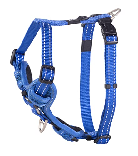 Rogz Control Harness Reflektierendes Geschirr, Größe M, Blau