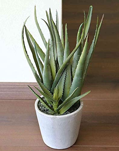 artplants.de Künstliche Aloe NAMIKA im Betontopf, grün, 40cm - Deko Sukkulente - Kunst Pflanze