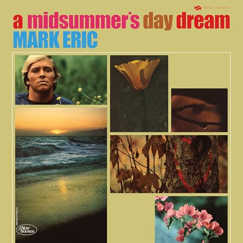 A Midsummers Daydream [Vinyl LP]
