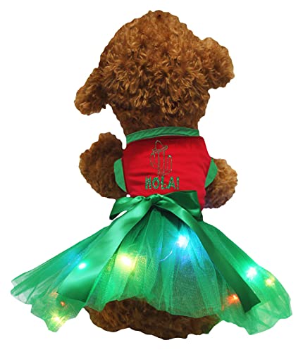 Petitebelle Cactus Hola Hundekleid für Welpen, Rot / Grün, LED, Größe L