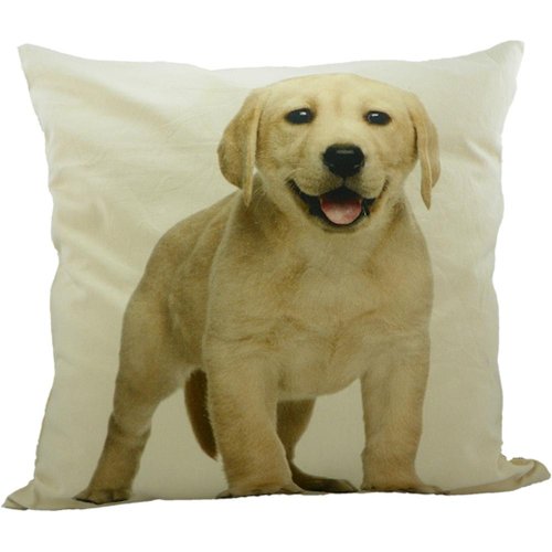 cushion canvas labrador blond