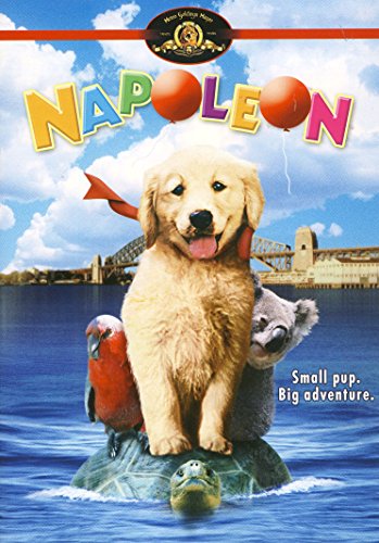 Napoleon (1996)