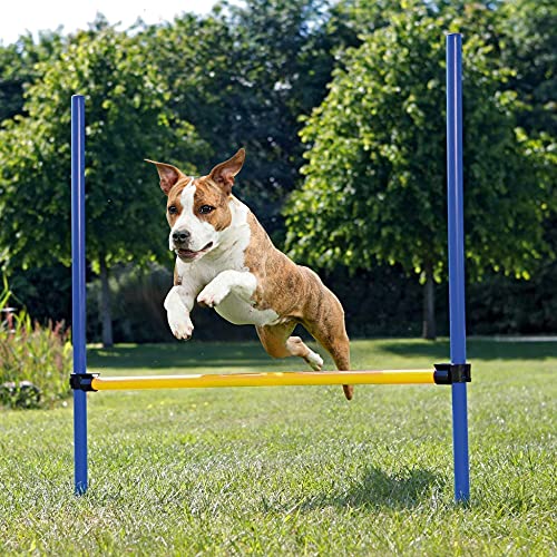 Pet Prime Haustier-Spielzeug für Hunde im Freien, Agility-Training, Trainingsgerät für Hunde