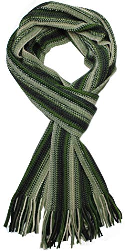 Rotfuchs Strickschal Herrenschal Warm & weich Unisex Wolle gestreift multi mehrfarbig (Grün)