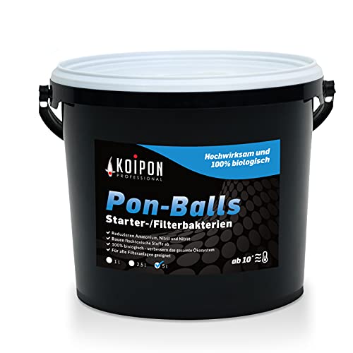 KOIPON Pon-Balls Filterstarter, Teich Bakterien zur Teichpflege vom Gartenteich und Fischteich, Filterbakterien Gelkugeln, Nitrit Entferner… (5000 ml)