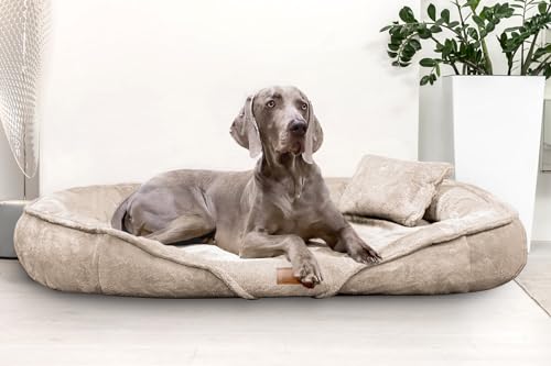 tierlando® Orthopädisches Hundebett Xenia | Kuschelig Flauschiges Hundesofa | Waschbar | Memory Foam XXL | Beige