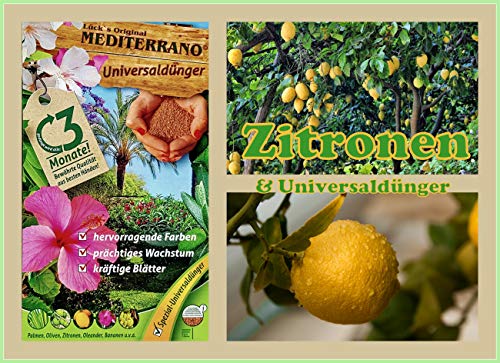 Zitronenbaum Dünger, Zitrusdünger, Zitruspflanzendünger, Zitronendünger, Orangendünger 3 Kg Original Mediterrano