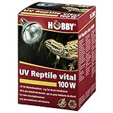 UV-Reptile vital Desert, 100 W