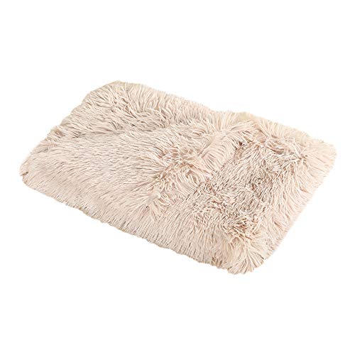 Nicole Knupfer Flauschige Hundedecke Katzen Decke mit super Soft weiche Flauschige Haustier-Decke, Überwurf für Hundebett Sofa und Couch (100x75cm,Beige)