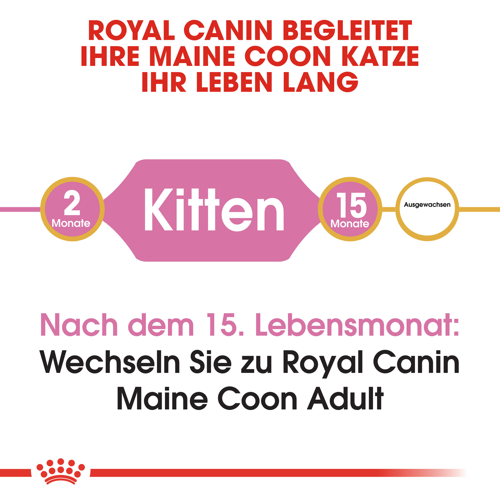 Royal Canin Maine Coon Kitten Katzenfutter - 2 kg 5
