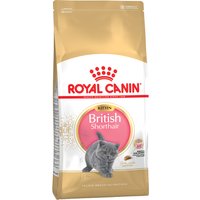 Royal Canin KITTEN British Shorthair Katzenfutter 10 kg, 1er Pack (1 x 10 kg)