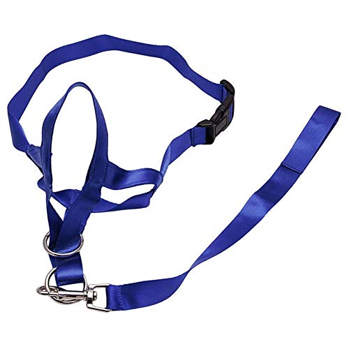 ZANGAO Haustier Hund gepolstert Kopf Kragen Champion Hundetraining Halter Stoppt Training Tool ziehen (Color : Blue, Size : S)