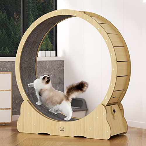 Cat Wheel Hochleistungs-Katzenlaufband, natürliches Katzenlaufrad für Katzenübungen, kleines/mittleres/großes Katzen-Spinnrad, 3 (Größe: 100 cm/39,4 Zoll)