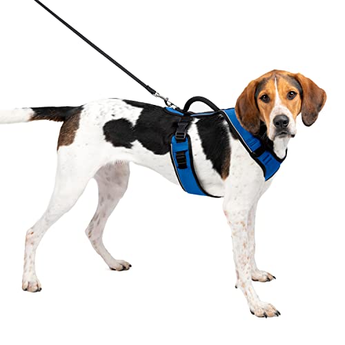PetSafe Easy Sport Hundegeschirr L blau, extra, Reflektoren, Geschirrgriff, für große Hunde