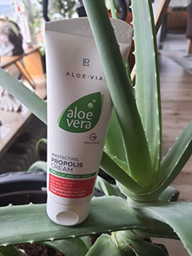 Aloe Vera Propolis Cream
