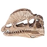 Kerdejar Dilophosaurus Dinosaurier Schädel, Kunstharz, Handwerk, fossil, Skelett, Lehrmodell Halloween Haus Büro Dekoration