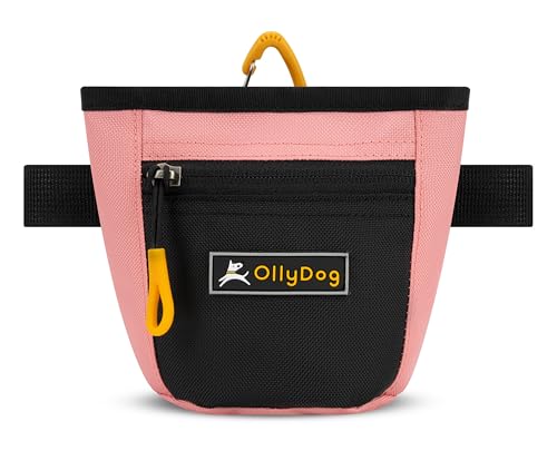 OllyDog Goodie Treat Bag, Leckerlibeutel Hund, Taillengürtelclip für freihändiges Training, Magnetverschluss, Hundetraining und Verhaltenshilfen, Drei Tragemöglichkeiten (Erdbeerei)