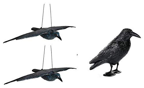 Hillfield Schwarzer Rabe fliegend oder sitzend Kunststoff Taubenschreck Taubenabwehr Vogelschreck (1 Rabe stehend + 2 Raben fliegend)