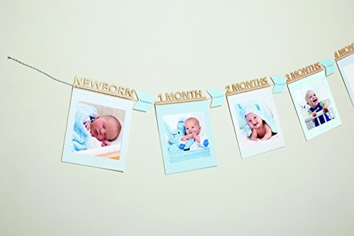 C.R. Gibson Baby Boy First Year Milestone Foto-Spruchband für das erste Jahr, 12 Stück, 18,3 x 18,3 cm