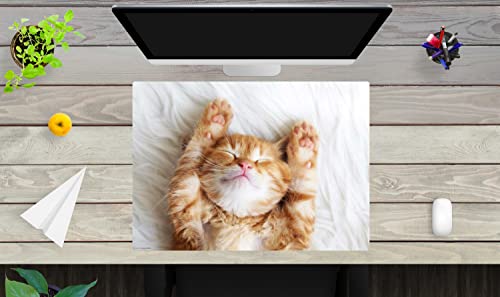 Schreibtischunterlage für Kinder und Erwachsene – “Süßes Katzenbaby beim schlafen" – aus erstklassigem, strapazierfähigem Vinyl (Kunststoff -BPA frei) – 70 x 50 cm – Made in Germany