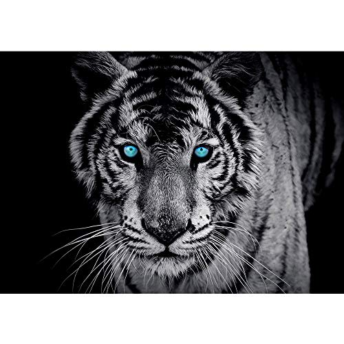 Vlies Fototapete 300x210 cm PREMIUM PLUS Wand Foto Tapete Wand Bild Vliestapete - Tiere Tapete Tiger Gesicht Auge blau schwarz-weiß blau - no. 426