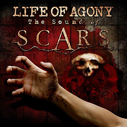 Sound Of Scars [Vinyl LP]