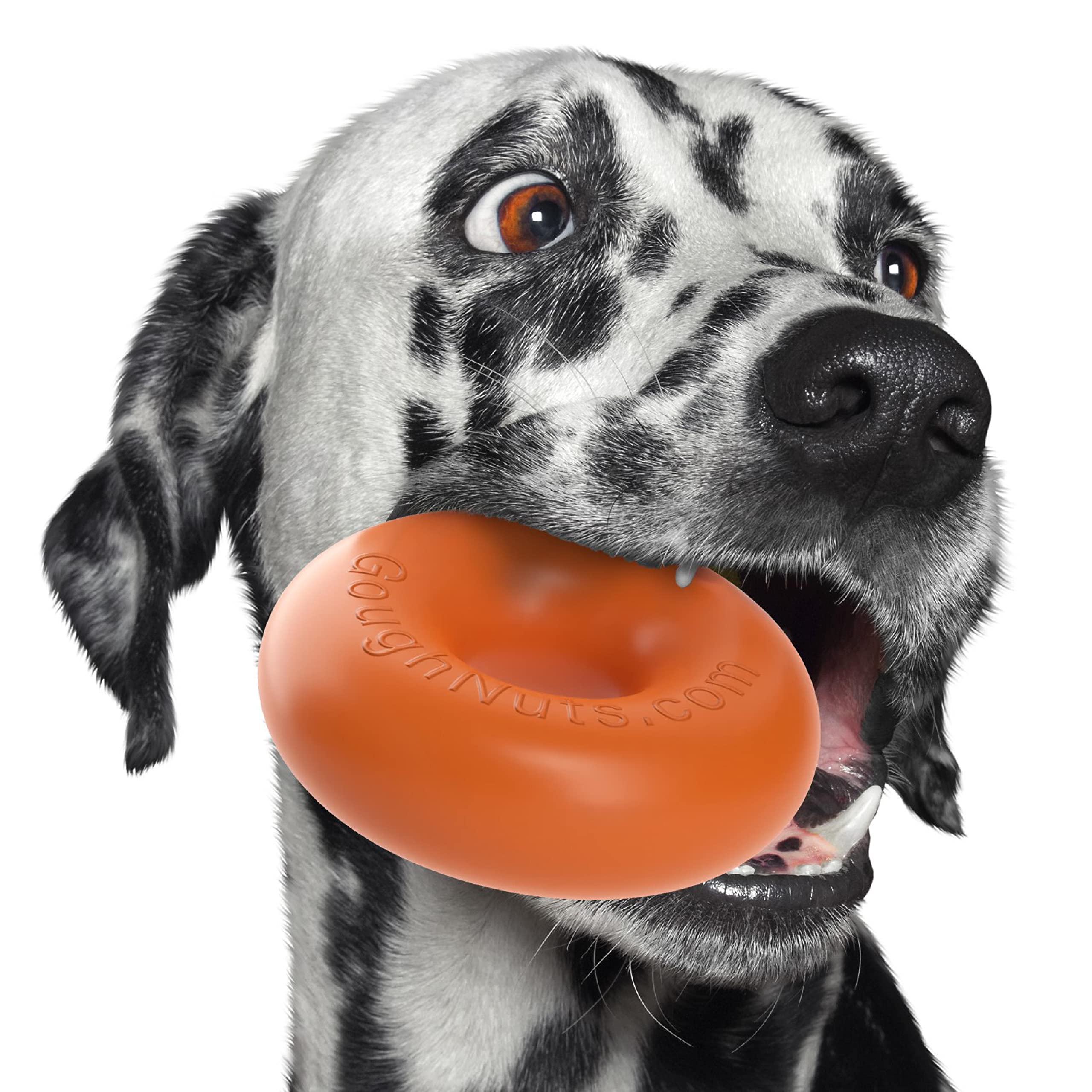 Goughnuts - Hunde-Kauspielzeug, praktisch unzerstörbar - Das Hundespielzeug für Power-Kauer hält selbst hartnäckigen Hunden Stand