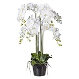 Kunstblume PHALENOPSIS ca 90 cm weiß, WEISS (Orchidee) im schwarzen Kunststofftopf 20 cm.