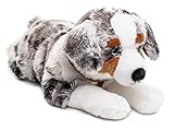 Uni-Toys - Australischer Schäferhund mit Geschirr, liegend - 63 cm (Länge) - Plüsch-Hund, Haustier - Plüschtier, Kuscheltier