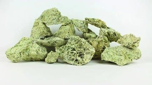 WYSKONT Dolomit-Steine für Aquarium – natürliche Dekoration für Aquarien – Marine-Ziersteine – geeignet für Malawi- und Tanganyika-Biotypen – stabilisieren pH-Wert – 5 kg Spaghettigrün