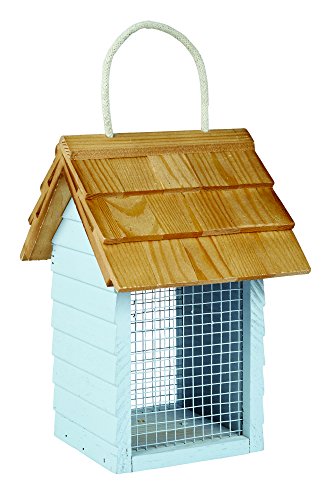 Gardman a04335 Strand Hütte Peanut Futterhaus – Grün/Blau