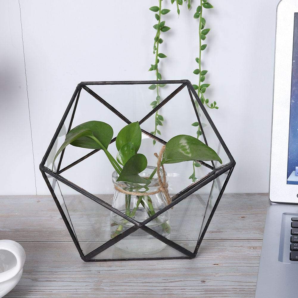Oyunngs Glass Geometric Terrarium, einzigartige geometrische Glas Pflanzgefäß Container Landschaft Dekoration für Sukkulenten Moos Farn Pflanzen (Keine Pflanzen enthalten)