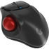 Keysonic KSM-6101RF-EGT Trackball Maus grau